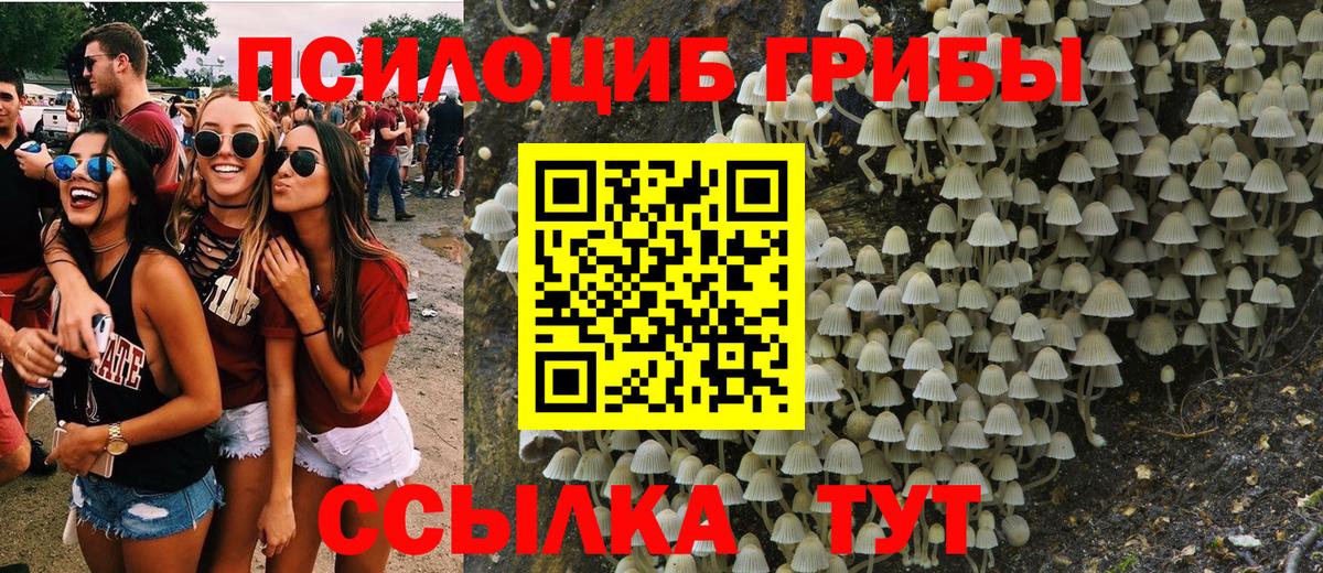 Шахты  Галлюциногенные грибы мицелий  Вход с VPN 